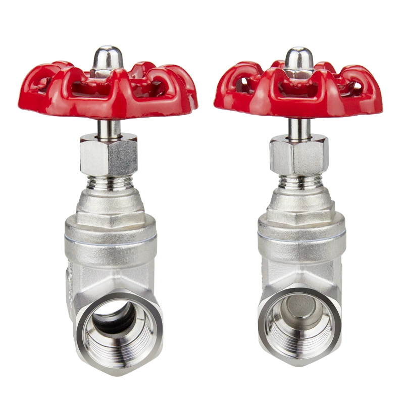 CF8 Stainless Steel 304 Sluice Valve Globe Gate Valve for Water Isolation