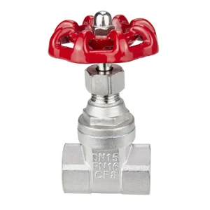 CF8 Stainless Steel 304 Sluice Valve Globe Gate Valve for Water Isolation